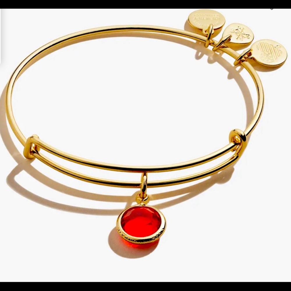 Light Siam Birthstone Charm Bangle, July